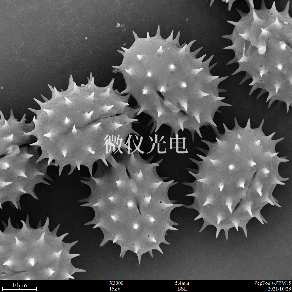 sem掃描電鏡的原理、組成、基本參數(shù)和應(yīng)用的介紹
